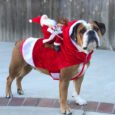 Santa Riding Deer