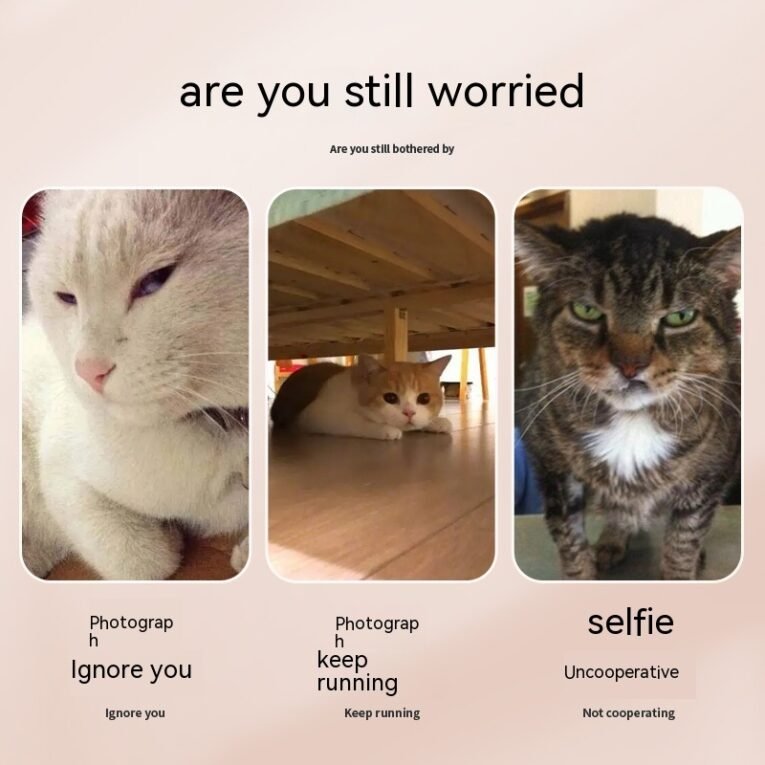 b0df4bd0-9fdb-4e1c-a9b4-3638ae903e31_trans.jpeg